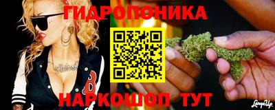 индика Тулун
