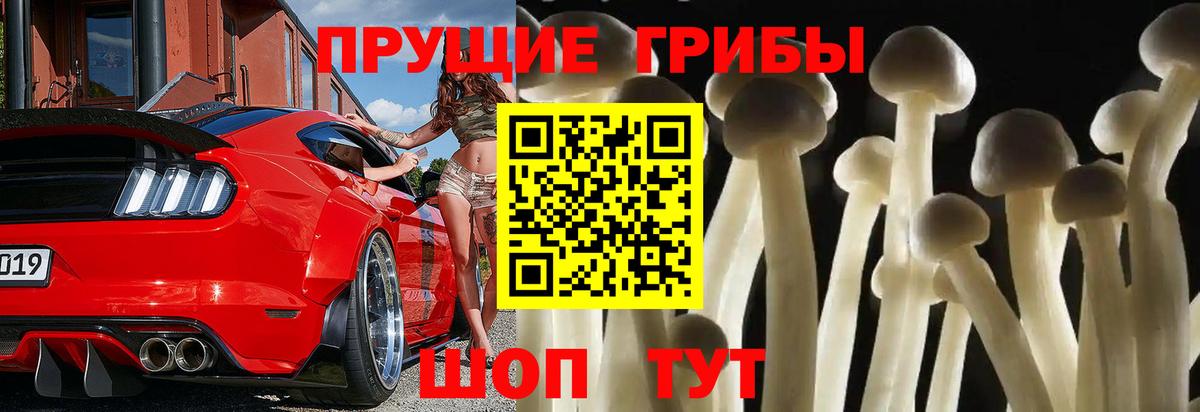 Галлюциногенные грибы Magic Shrooms Братск