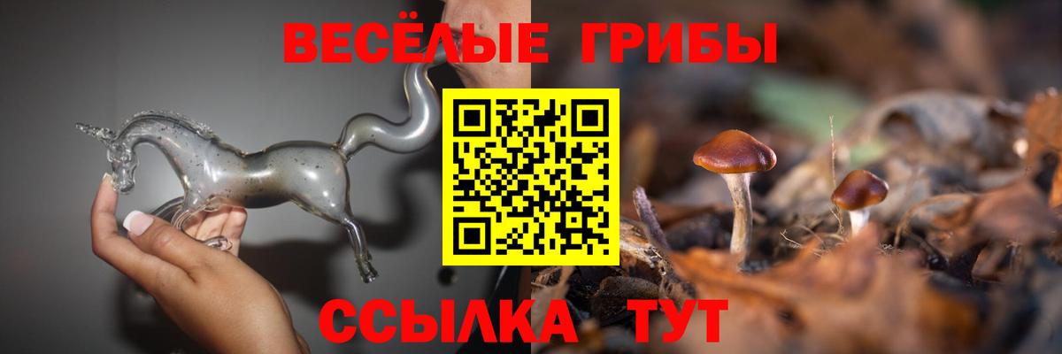 Братск  Псилоцибиновые грибы прущие грибы  Вход с VPN 