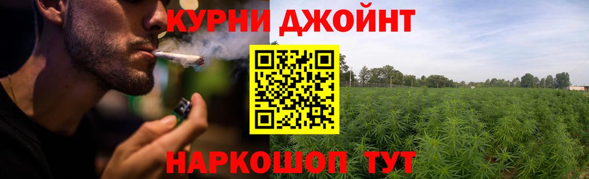 Братск  Каннабис сатива  Бошки Шишки сатива  Бошки марихуана OG Kush  Вход с VPN 